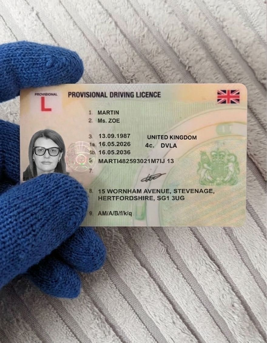 provisional driving licence provisional driving licence